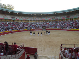 plazadetorosantes.g